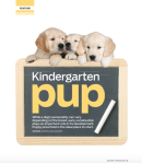 Kindergarten pup